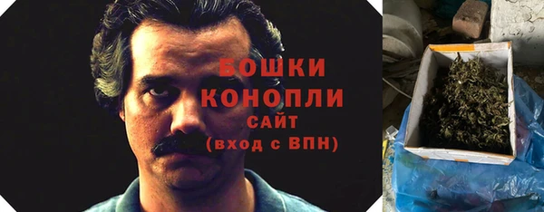 дживик Белокуриха