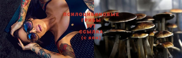 таблы Снежногорск