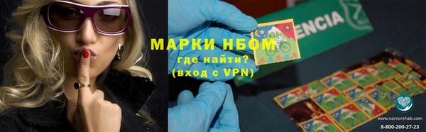 дживик Белокуриха