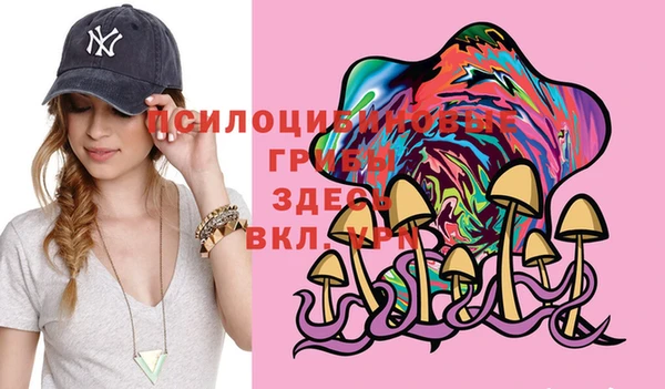 мяу мяу мука Беломорск