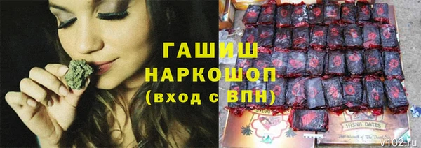 дживик Белокуриха