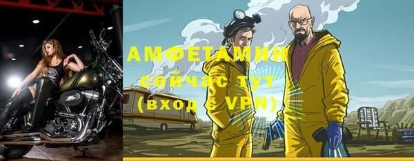 дживик Белокуриха