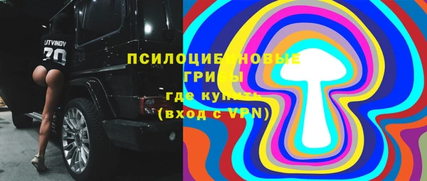 дживик Белокуриха